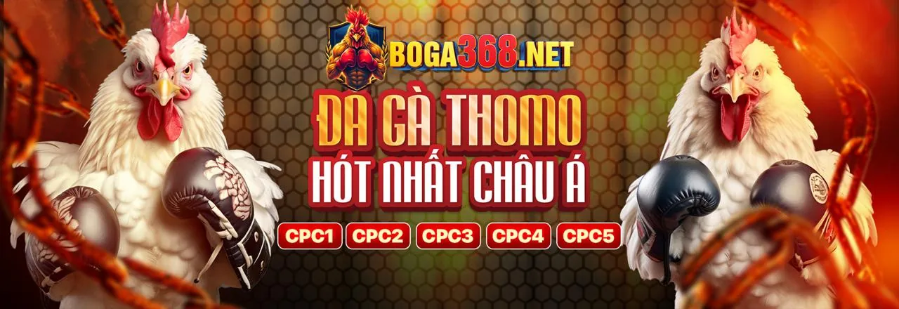 Đá gà Vua99 - Nền tảng cá cược trực tuyến
